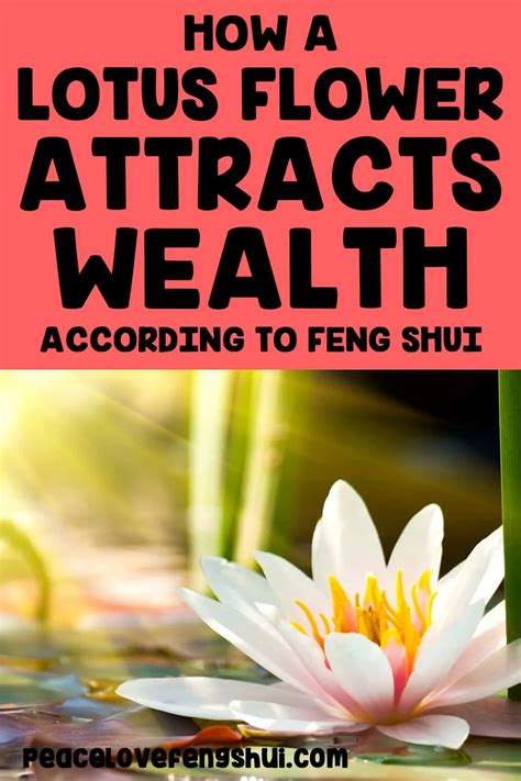 About Black Lotus's Wealth