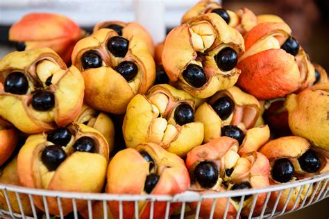 Ackee Festivals: Celebrating Jamaica's Most Beloved Fruit