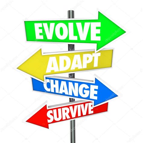 Adapt and Evolve Your Business Strategy