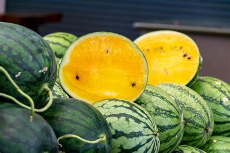 Adding a Splash of Color: The Visual Appeal of Yellow Watermelons