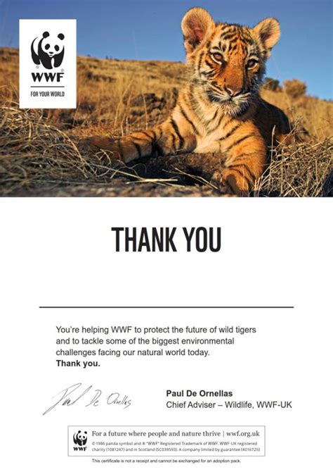 Adopting Tigers and Supporting Conservation Efforts
