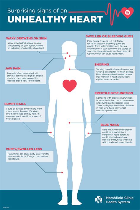 Adverse Effects on Cardiovascular Health