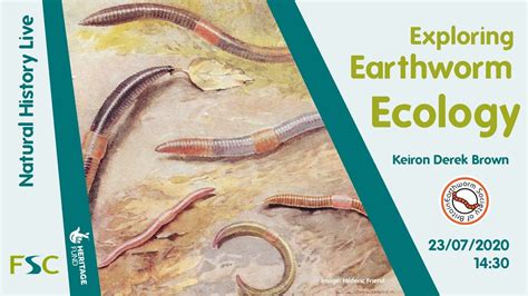 Affinity with Nature: Exploring Ecological and Biological Connections of Earthworms