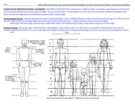 Age, Height, and Figure Analysis