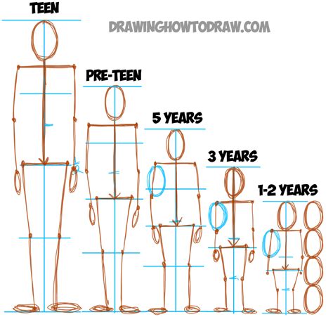 Age, Height, and Figure Explained