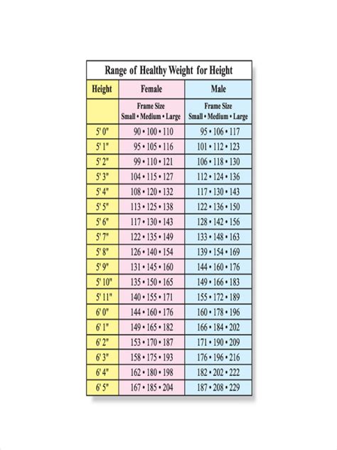 Age, Height, and Measurements