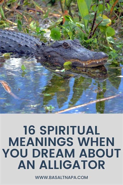 Alligator Dreams: Deepening Your Connection with the Subconscious Mind