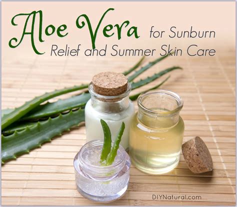 Aloe Vera: An Effective Natural Remedy for Sunburns and Skin Irritations