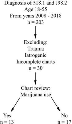 An In-Depth Analysis of Symbolism Associated with the Pot