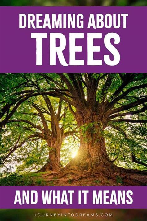 An In-Depth Analysis of the Tree as a Symbol in Dream Interpretation