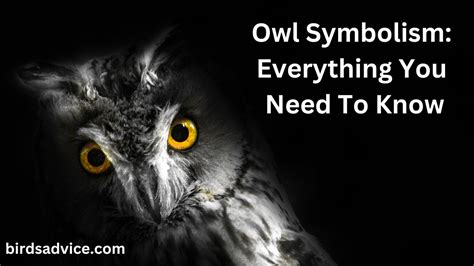 An In-depth Analysis of the Symbolic Significance of an Owl