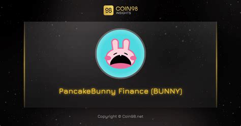 An Insight into Lana Bunny's Financial Status and Income