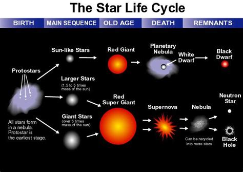 An Insight into the Life of an Emerging Star