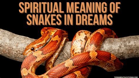 An Insight into the Symbolic Significances of Poisonous Serpents in Dreams