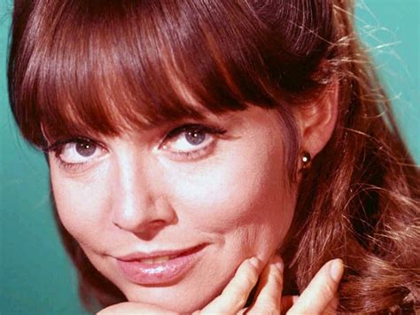 An Overview of Barbara Feldon's Life and Career