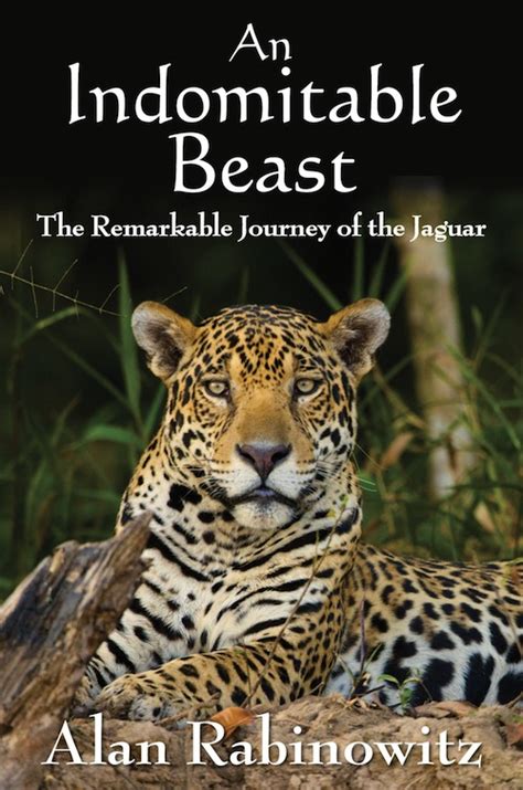 An Unforgettable Thrill: Experiencing the Indomitable Beast