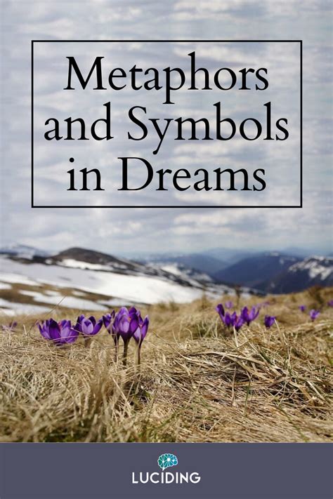 Analyze Your Dreams: Understanding the Symbols and Metaphors