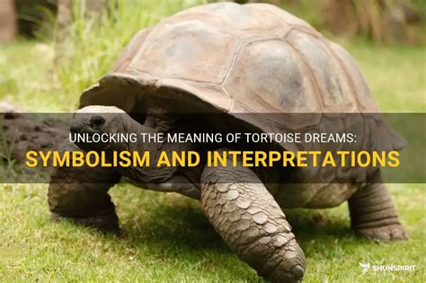 Analyzed Interpretations of Tortoise Birth Dreams