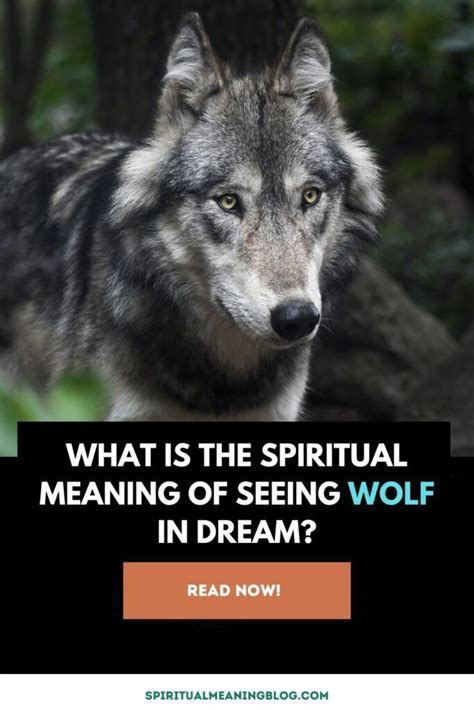 Analyzed from a Spiritual Perspective: The Significance of a Wolf's Aggression in Symbolic Dream Imagery