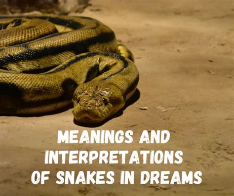 Analyzing Dream Patterns: Common Themes and Motifs in Venomous Snake Dreams