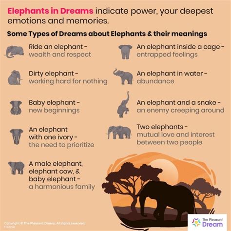 Analyzing Elephant Dreams through Various Dream Interpretation Techniques