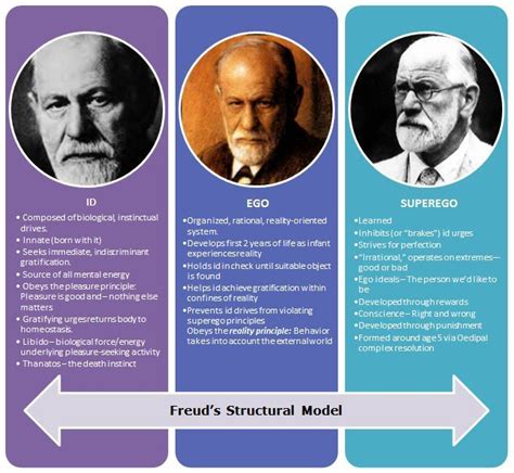 Analyzing Freudian and Jungian Perspectives