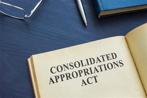 Analyzing the Act of Appropriation