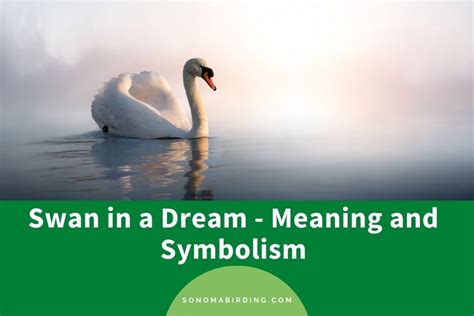 Analyzing the Behavior of Swans in Dreams