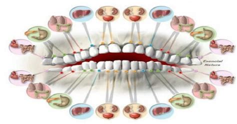 Analyzing the Connection Between Dentures and Communication