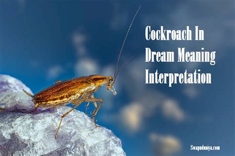 Analyzing the Cultural Significance of Cockroaches and Insects in Dream Interpretation