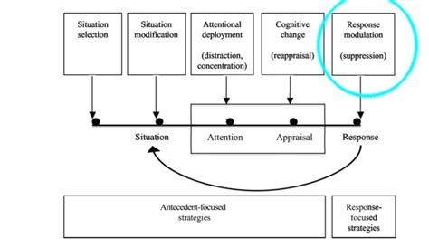 Analyzing the Emotional Response to Persistent Provocations