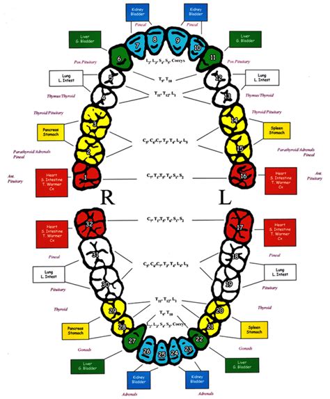 Analyzing the Emotions and Sensations Linked to Toothache Dreams