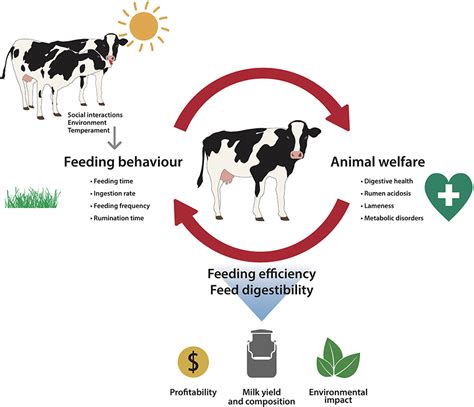 Analyzing the Feeding Behavior: What Does it Signify?