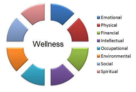 Analyzing the Figure: Chroniclove's Approach to Health and Wellness