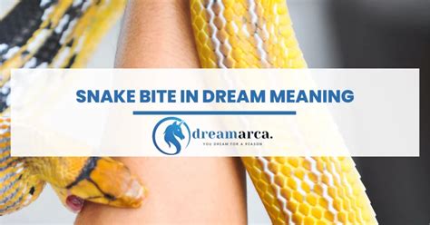 Analyzing the Healing Process after a Snake Bite in Dreams