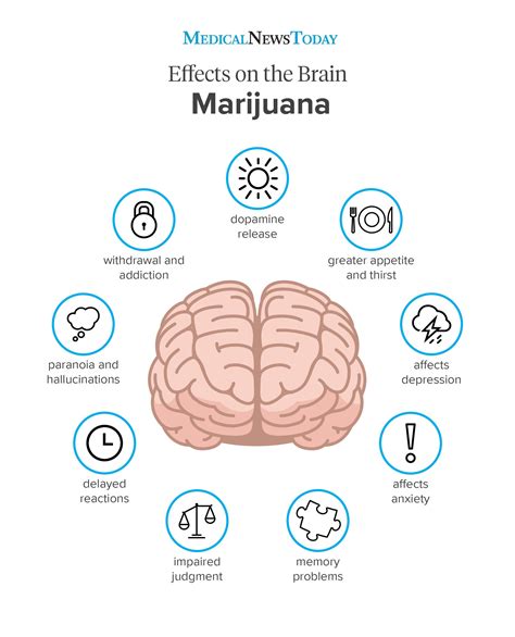 Analyzing the Influence of Individual Experiences on Cannabis-Related Dreams