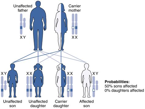 Analyzing the Psychological Significance of the Missing Offspring Motif