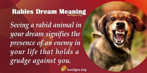 Analyzing the Relationship Between Rabies and Dream Symbolism