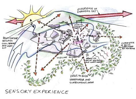 Analyzing the Sensory Experience