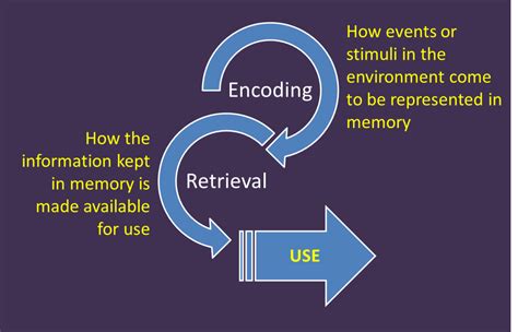 Analyzing the Significance of Memory and Emotions