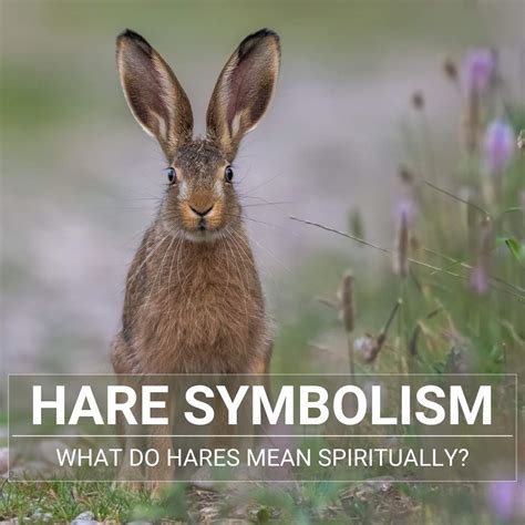 Analyzing the Symbolic Meaning of a Sickly Hare