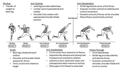 Analyzing the Symbolism of an Arm Injury