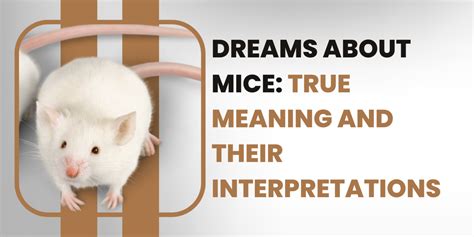 Analyzing the Various Interpretations of Unhealthy Rodents in One's Dreams