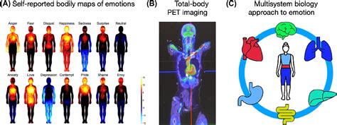 Analyzing the emotions and sensations experienced during the enigmatic nocturnal encounter