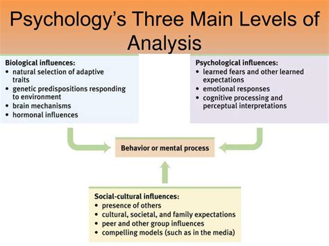 Analyzing the psychological interpretation