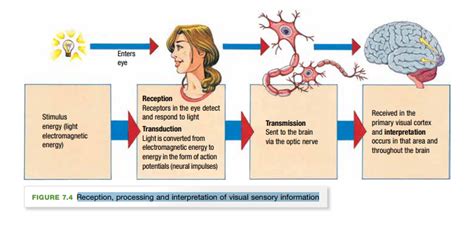 Analyzing the sensation of feeling confined in the vision