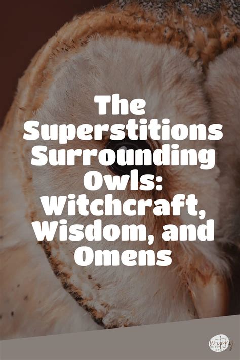 Ancient Beliefs and Superstitions Surrounding Owls