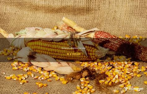 Ancient Significance: Unveiling the Prophetic Value of Corn Kernels