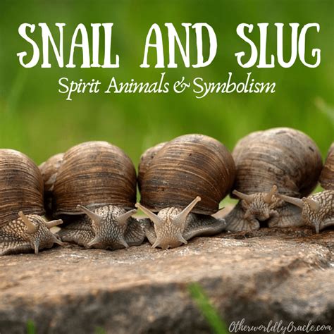 Anecdotes of Snail Rescue in Folklore and Literature