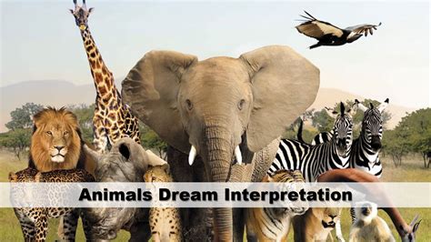 Animal Symbolism: Canine Creatures in Dream Interpretation